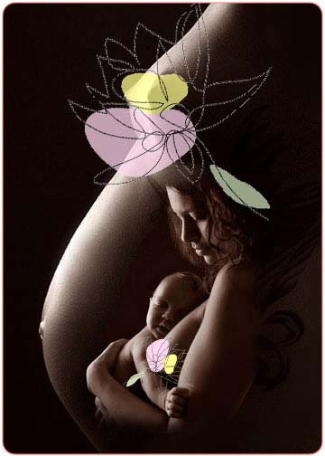Babybauch-Fotocollage